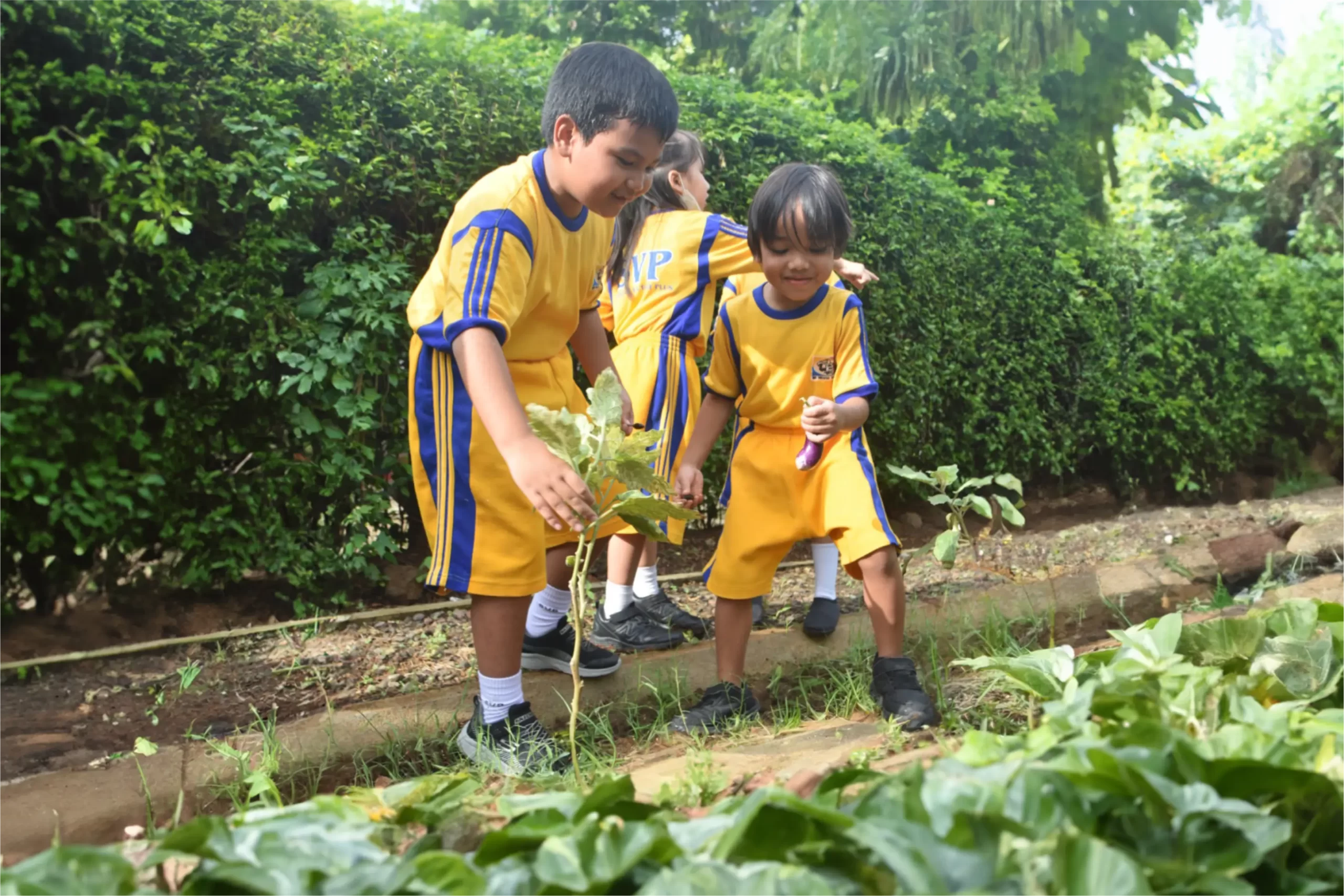 Two students of Primary years programme from Sekolah Victory Plus - The renowned International Baccalaureate School in Indonesia is planting at the outdoor learning spaces