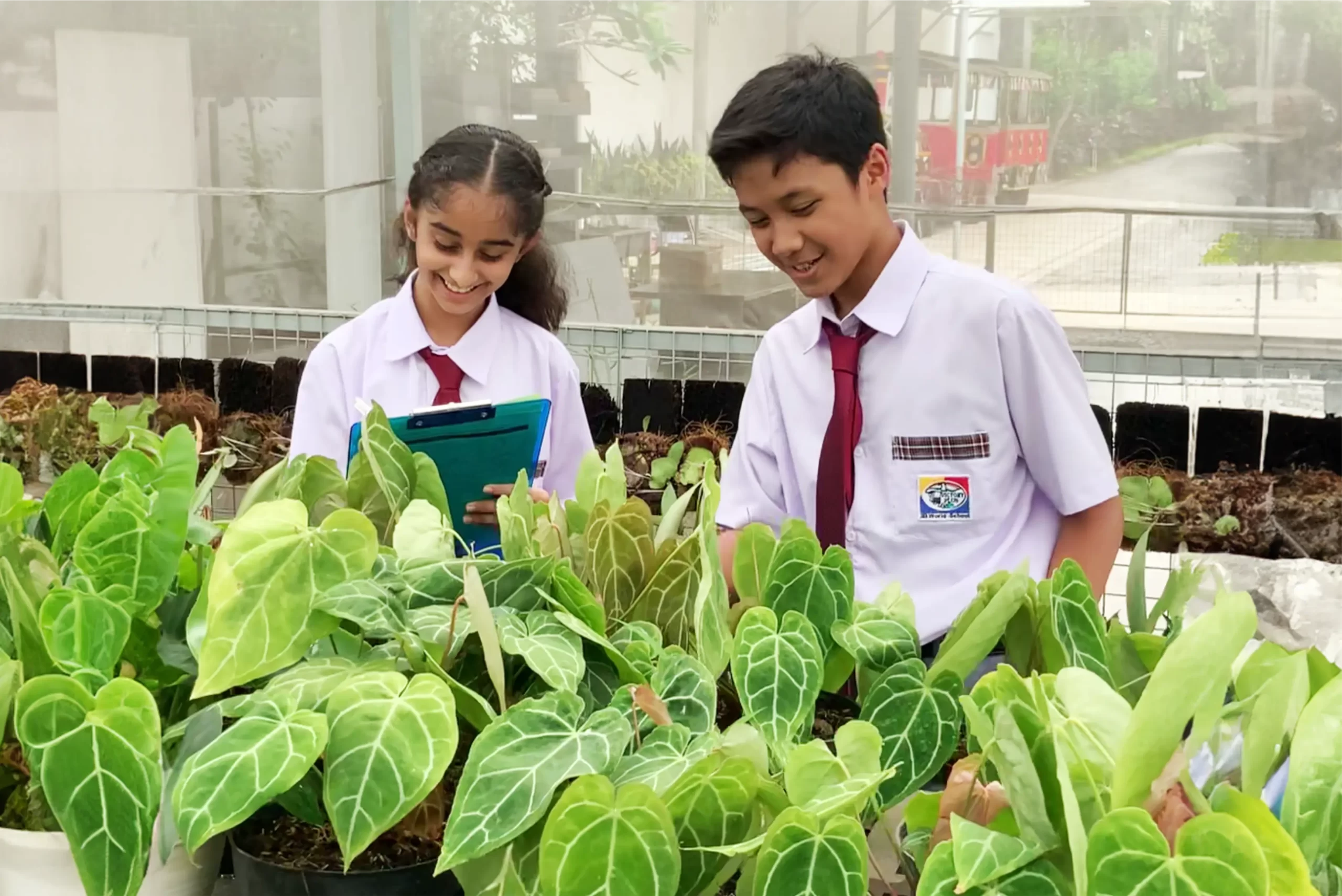 Two students of IB Middle Years Programme from Sekolah Victory Plus - the leading International Baccalaureate School in Indonesia are planting at the green house